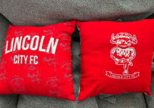 Lincoln City Cushions – Pair – no more information